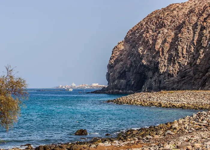 The Mar Duplex Palm-mar